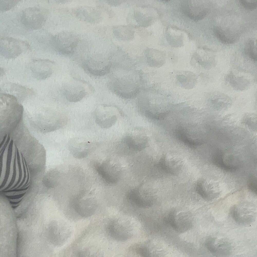 Crown & Ivy Baby Gray / White Elephant Lovey Security Blanket Fluffy & Polka Dot - Picture 8 of 12